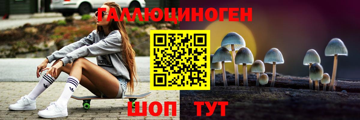 Псилоцибиновые грибы Cubensis Губкинский